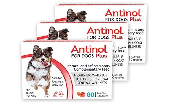 Pachet 3x Antinol Plus 60 capsule pentru Câini